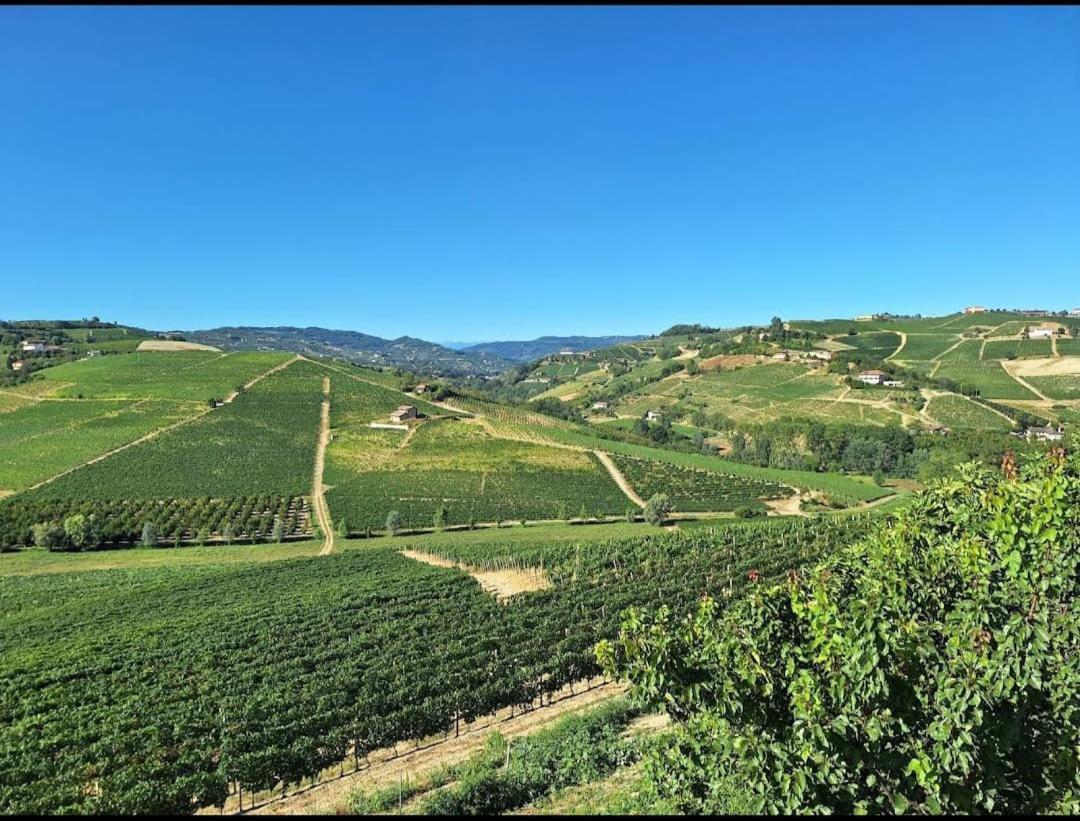 Agriturismo Vecchio Torchio Βίλα Canelli Εξωτερικό φωτογραφία