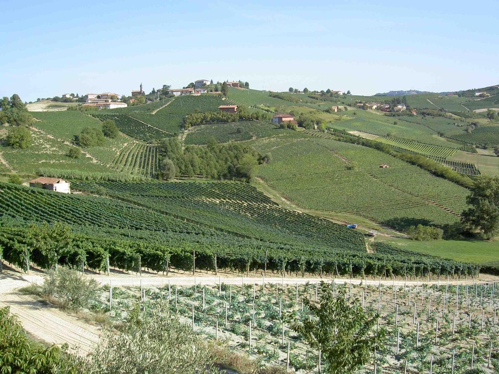 Agriturismo Vecchio Torchio Βίλα Canelli Εξωτερικό φωτογραφία