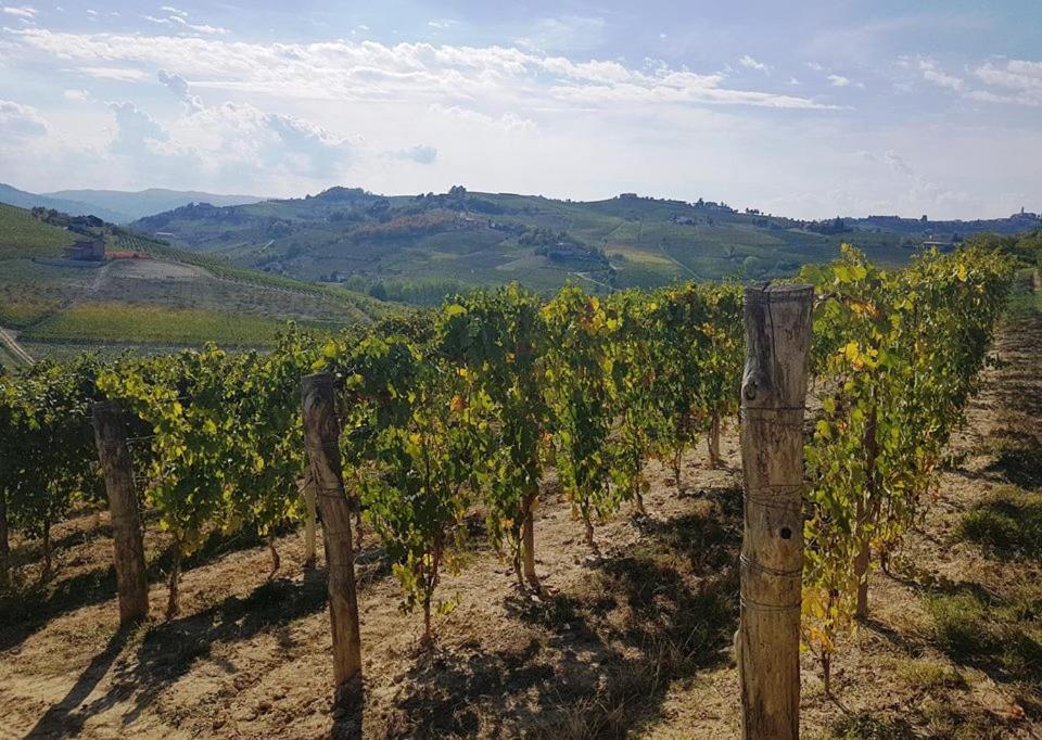 Agriturismo Vecchio Torchio Βίλα Canelli Εξωτερικό φωτογραφία